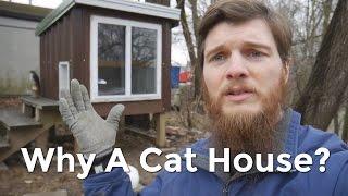 Why We Built a House for the Cats