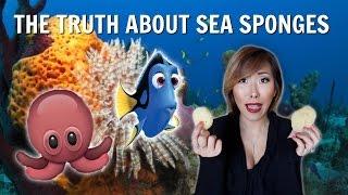 I TRIED SEA SPONGE TAMPONS *WARNING REAL BLOOD* | ITSJUSTKELLI