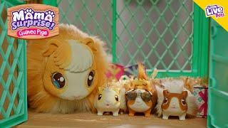 Little Live Pets | Mama Surprise TVC 30