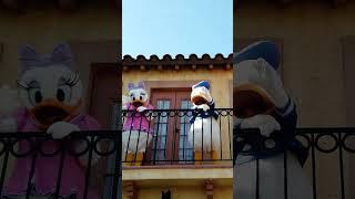 ️ Disney's Donald & Daisy Duck