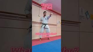 Hikite.. What's it for?  #Karate #shotokan #martialarts #shotokankarate #kata #kumite #training