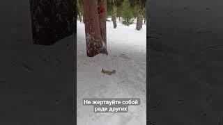 Не жертвуйте собой ради других 