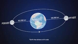 What Makes a Supermoon Super? (Animation)