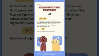 Gesundheit + Vorsorge #1: Regelmäßige Impfungen schützen deinen Hund!  #hundetipps  #hundewissen