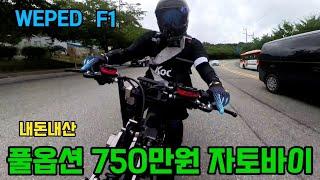 E - Bike WEPED F1 위페드 자토바이 출고 #WEPED #전기자전거 #자토바이