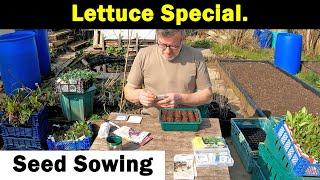 Lettuce Special | Sowing Lettuce Seeds | How I grow Lettuce | Grow All Year | Green Side Up