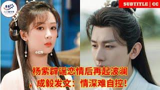 Yang Zi's relationship rumors sparked a new wave after she denied them, Cheng Yi posted a post about