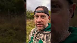 Deer Tracking Dog Finds PA 9 Point Whitetail Buck #deertrackingdog #hunting #whitetaildeer #archery