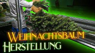 Künstlicher Weihnachtsbaum Herstellung: Produktion der Pure Living Nordmanntanne