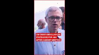 'Pahalgam Attack Has Not Stalled Talks On Statehood For J&K': Omar Abdullah