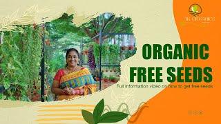 Grow your garden for free: information on collecting free seeds #3korganics #gardening #shortvideo