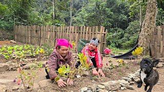 The Orphan Boy - Helping Build a House and Grandma's Joy in Planting a Flower Garden in the Hut