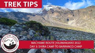 Climbing Kilimanjaro Day 3: Shira Camp to Barranco Camp | Trek Tips 2022