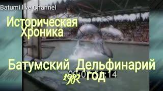 Батумский Дельфинарий 1982 год.Историческая хроника.#батуми #грузия #аджария #дельфины