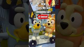 New Bluey My Size Shopping Cart #trending #bluey #christmas #christmasshopping #toys #toysforkids