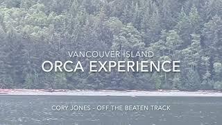 Orca Encounter Vancouver Island