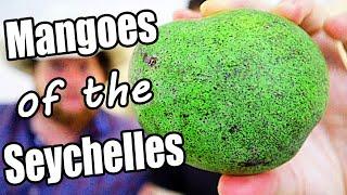 What MANGOES Are Like In The Seychelles - Weird Fruit Explorer