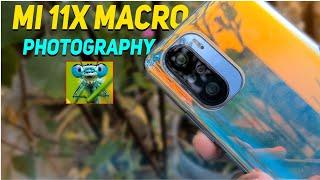 Macro Photography With Mobile || Mi 11x Macro Photography Without Macro Lens