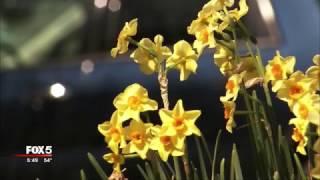 How to protect yourself when pollen count spikes