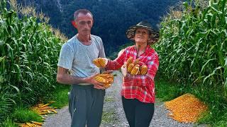 Unbelievable Albanian Feast! Corn Harvest, Beans & Pickles! 