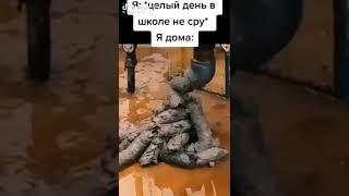 жёсткий#понос#жиза#мем-4