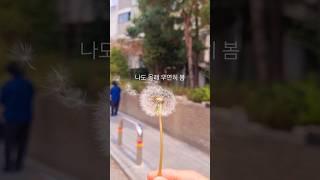 나도 몰래 우연히 봄이 왔네요
