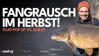 KARPFENANGELN IM HERBST  |Finn Wirschull | Fox International | Black Label Baits | Gewinnspiel