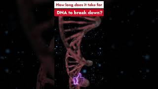 Wait, How Quickly Does DNA Decay? || KNOWLEDGE ADDA ||
