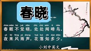 春晓【唐】孟浩然 春眠不觉晓，处处闻啼鸟。夜来风雨声，花落知多少。中文国学经典 Chinese and English