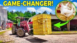 Farmers’ Secret to Boosting Chicken Catching Speed and Saving Hours!