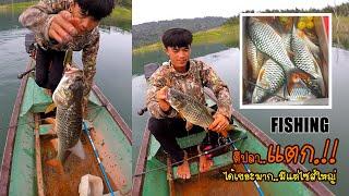 fishing  ตีปลาแตกมีแต่ไซส์ใหญ่  yos hav dej nuv ntses ep 42 ( 23/6/2021)