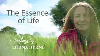 Lorna Byrne discusses the essence of life