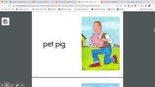 Pet Fun Story teaching