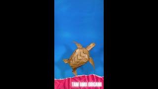 Origami Sea Turtle:  Paper Sea Turtle