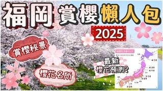 福岡賞櫻全攻略2025 | 浪漫櫻花森林 | 在地人的私房櫻花秘景 | 最新櫻花預測 | 福岡櫻花景點