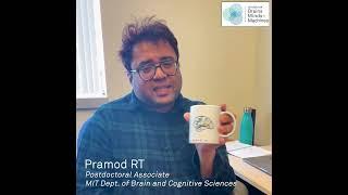 How are we able to see (how the brain works)?