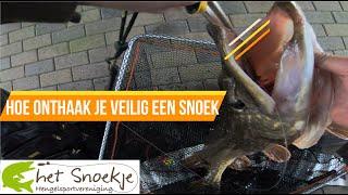 Hoe onthaak je veilig een snoek? Tips & Tricks - HSV het snoekje roofvis cursus