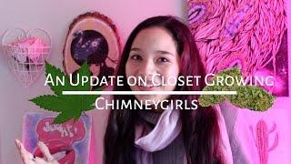 WEEK 2 UPDATE: How to grow weed cheaply in closet (Ant infestation, watering, new stuff and more)