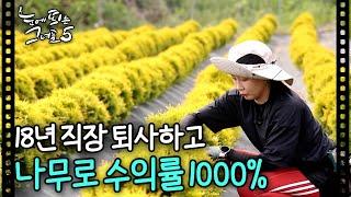 직장생활 때려치우고 나무 키워서 고수익 내는 여자 수익률이 무려 1000%?!ㅣ눈에 띄는 그녀들6