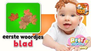 Baby Eerste Woordjes • BLAADJES • Baby tv Nederlandse Baby filmpjes • Eerste Woordjes Leren