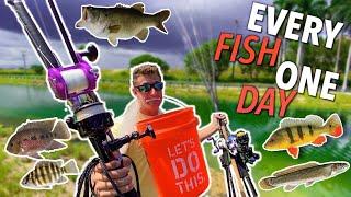 Catching EVERY Freshwater Fish In ONE Day!