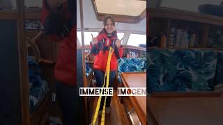 #sailing #family #fail #musto #gill #wetweather #rain #lifejacket  #pirate #storm #sailingtips