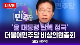 이재명 "윤 대통령, 왕 되려다 죄수의 길"..민주당 비상의원총회 / SBS