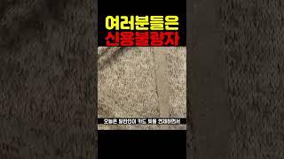 신용불량자가 되셨습니다.
