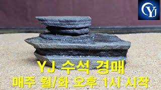 YJ수석경매 11월4일(월) 회원가입 010-6266-6404로 성함, 닉네임, 주소 보내주세요 실시간 경매 라이브 지금실시간 수석경매 수석경매장 YJ수석 YJ수석경매