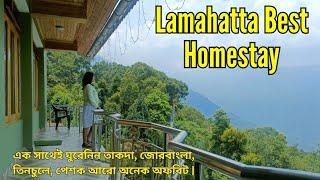 Lamahatta Best Homestay, Near Sightseeing Takdah, Tinchulay, Jorebungalow etc || Darjeeling offbeat.