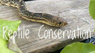 Reptile Conservation and What You as A Hobbyist & Pet Owner Can Do to Help