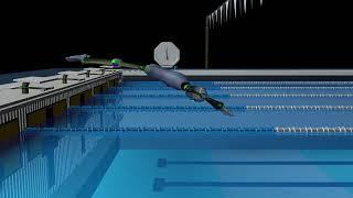 How to Dive Off a Starting Block in the Swimming Pool