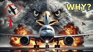 Can one Bird fall Down a Giant Airplane?