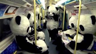 Panda-monium on the Tube!